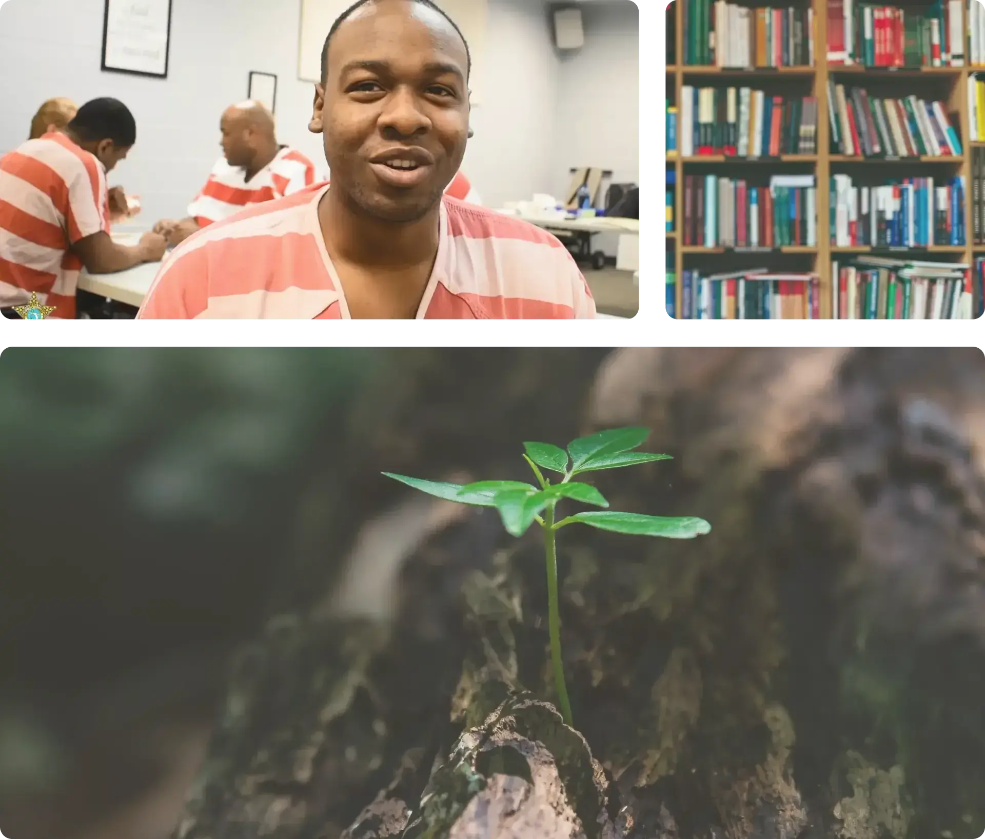 a panel of photos showing a prisoner a library and the sprout of a plant growing out of the ground