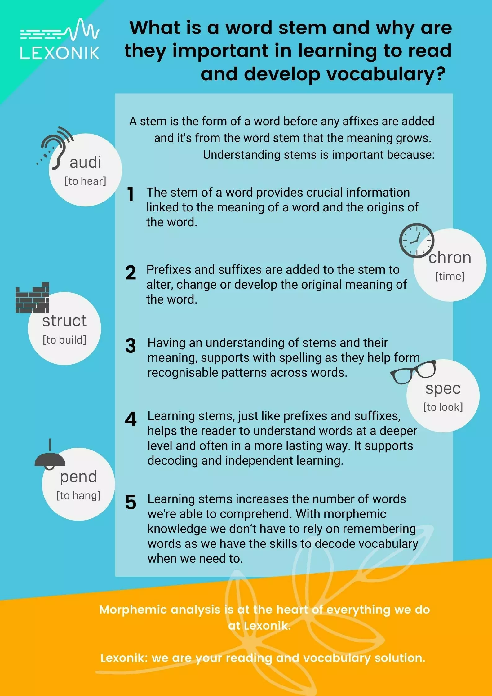 an infographic showing what a word stem is and why it is important