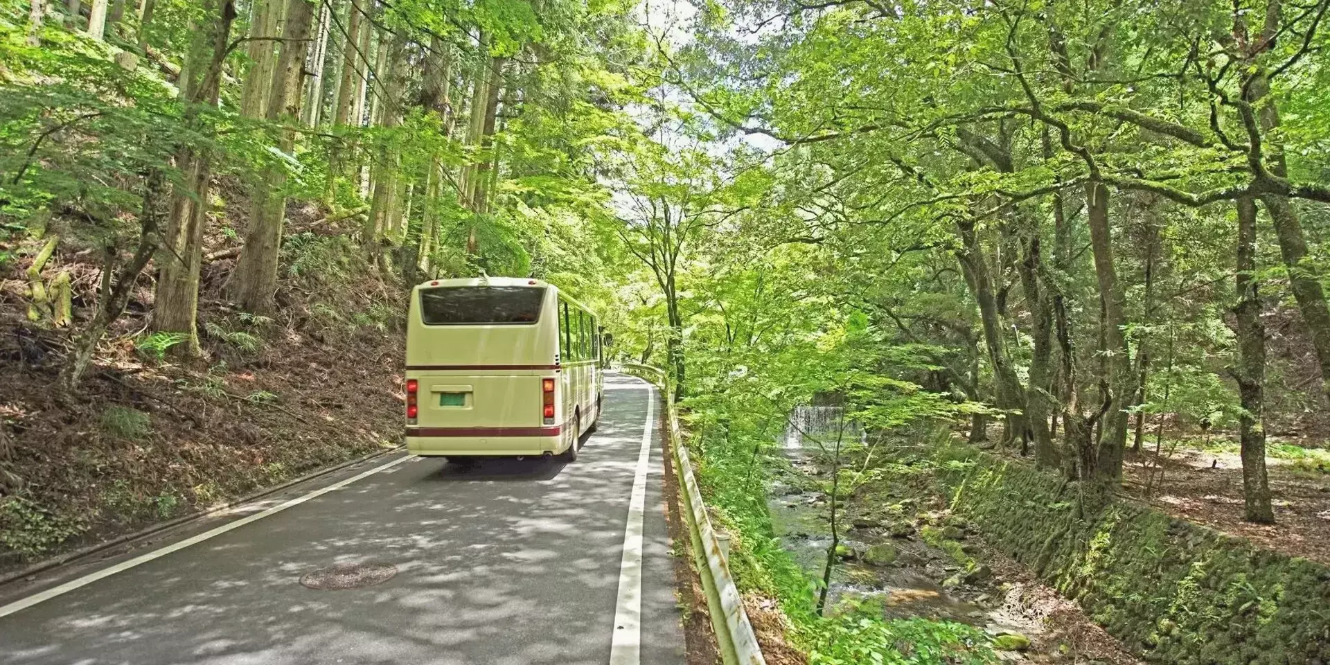a yellow bus driving through a forest road